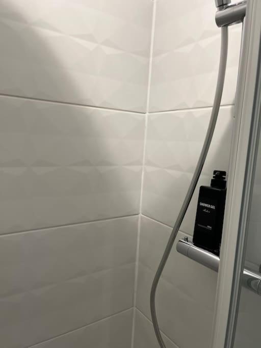 Loiret Luxe T2 Daire Olivet  Dış mekan fotoğraf