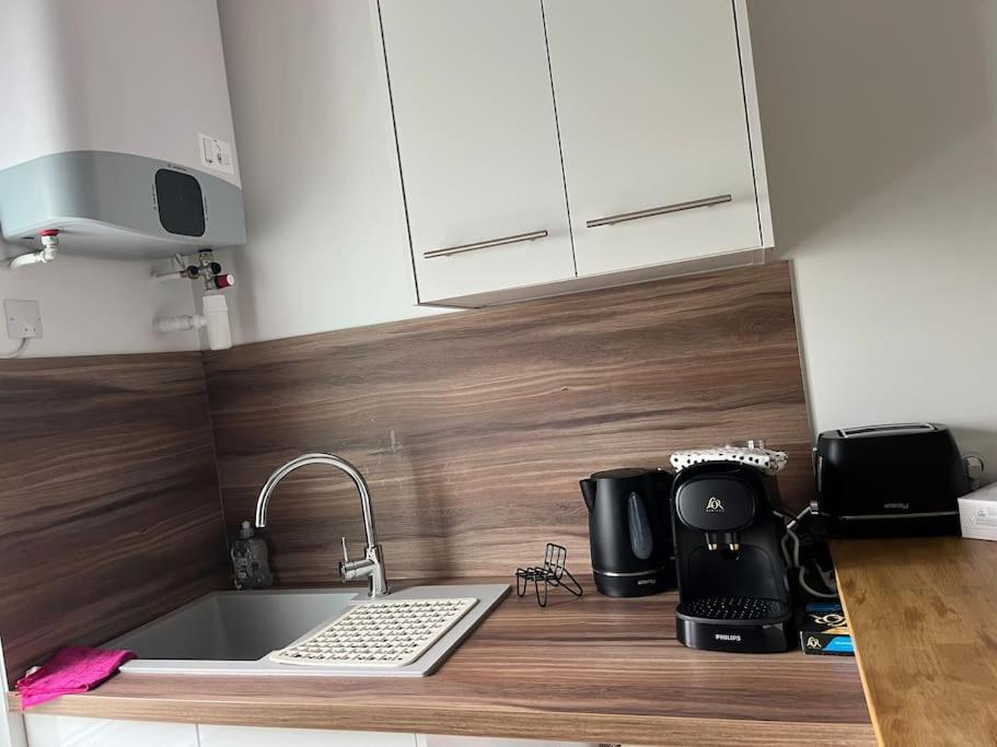 Loiret Luxe T2 Daire Olivet  Dış mekan fotoğraf