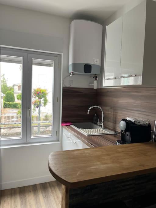 Loiret Luxe T2 Daire Olivet  Dış mekan fotoğraf